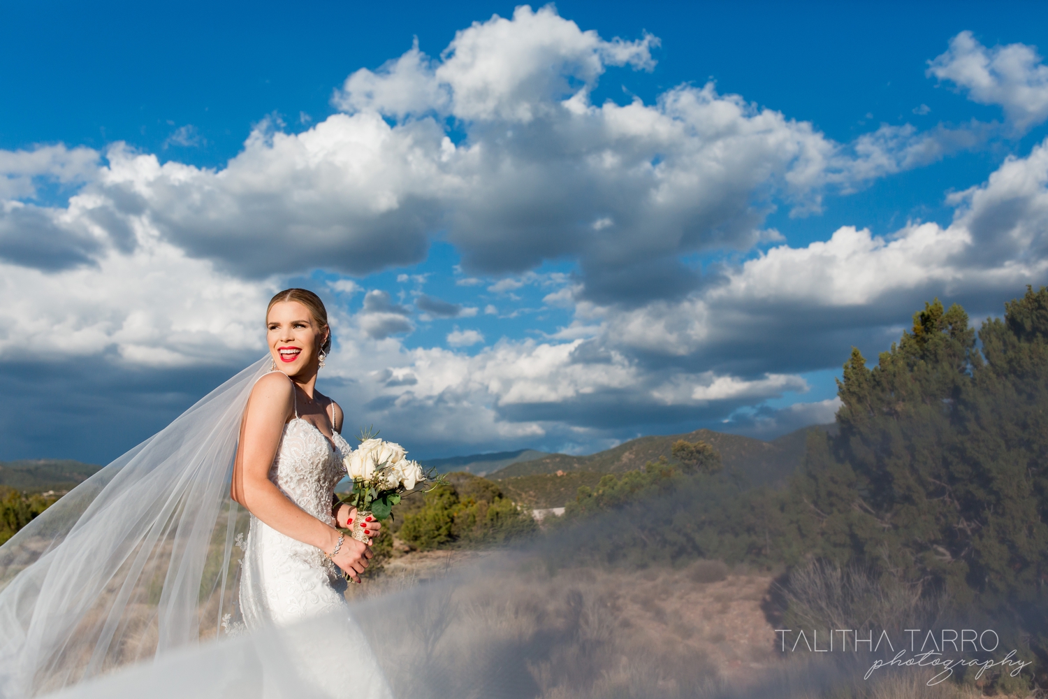 Sangre de Cristo Mountains Wedding Photography